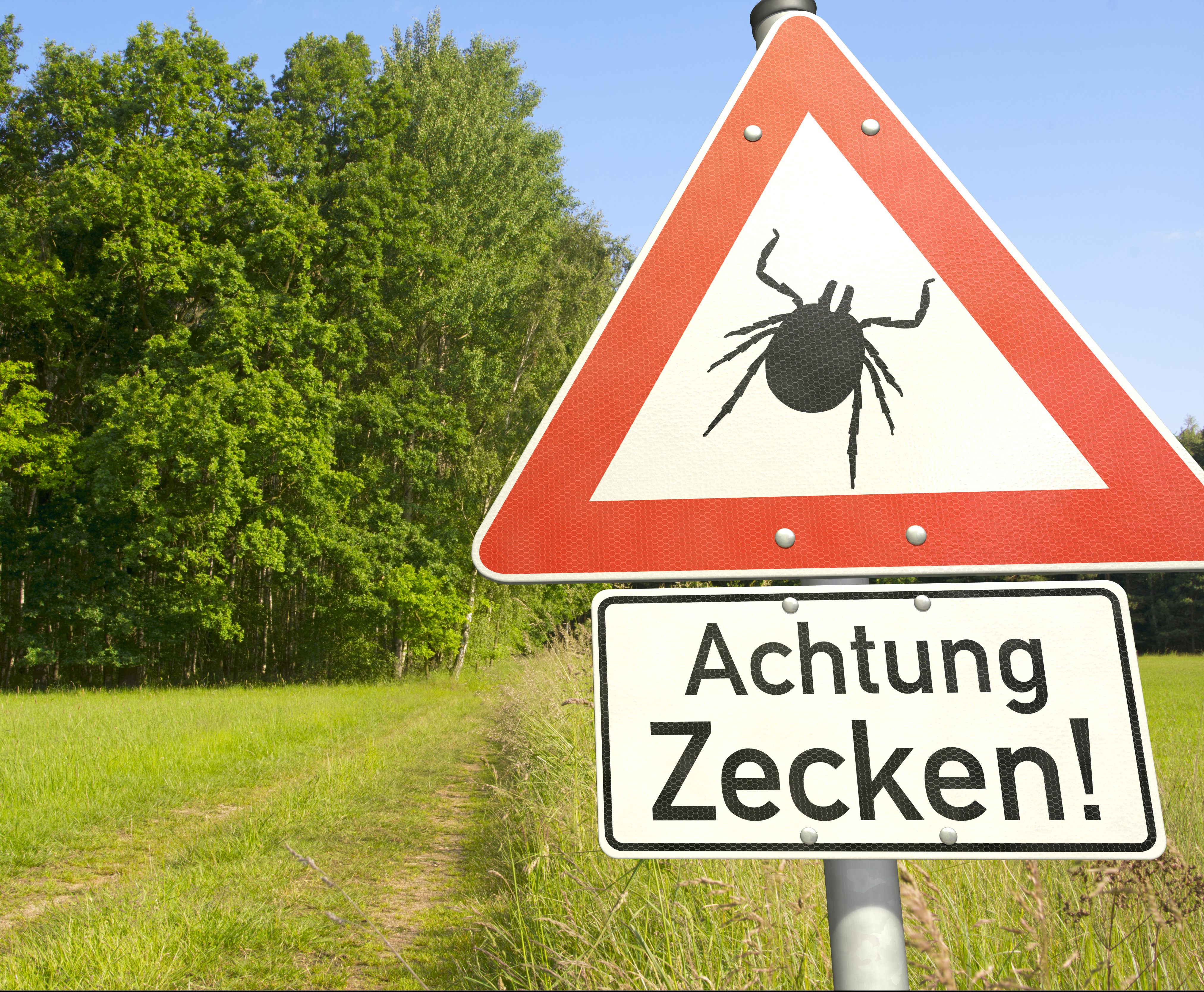 Achtung: Gefahr durch Zecken!