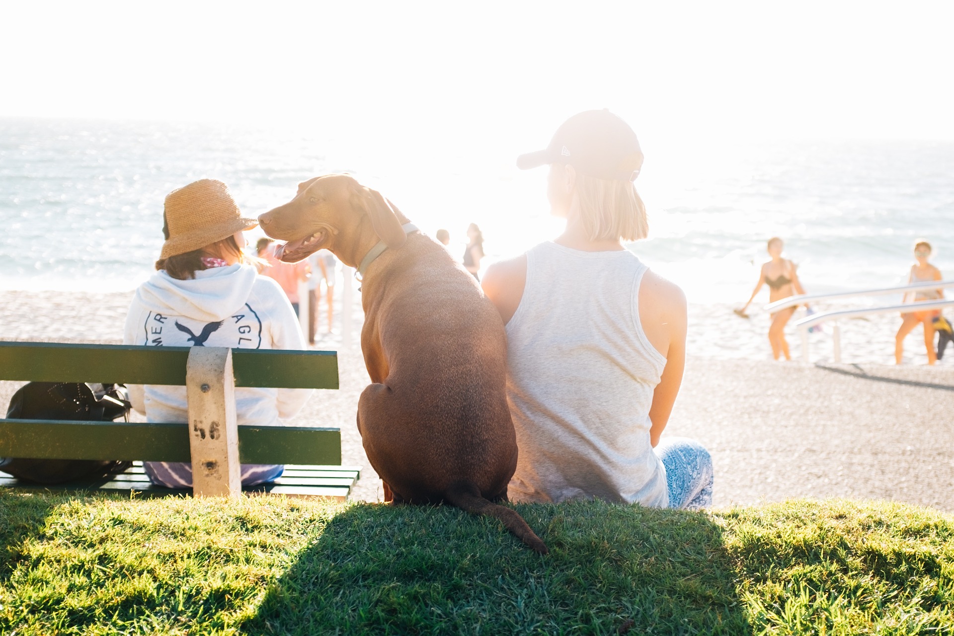 10_Urlaub mit HUnd