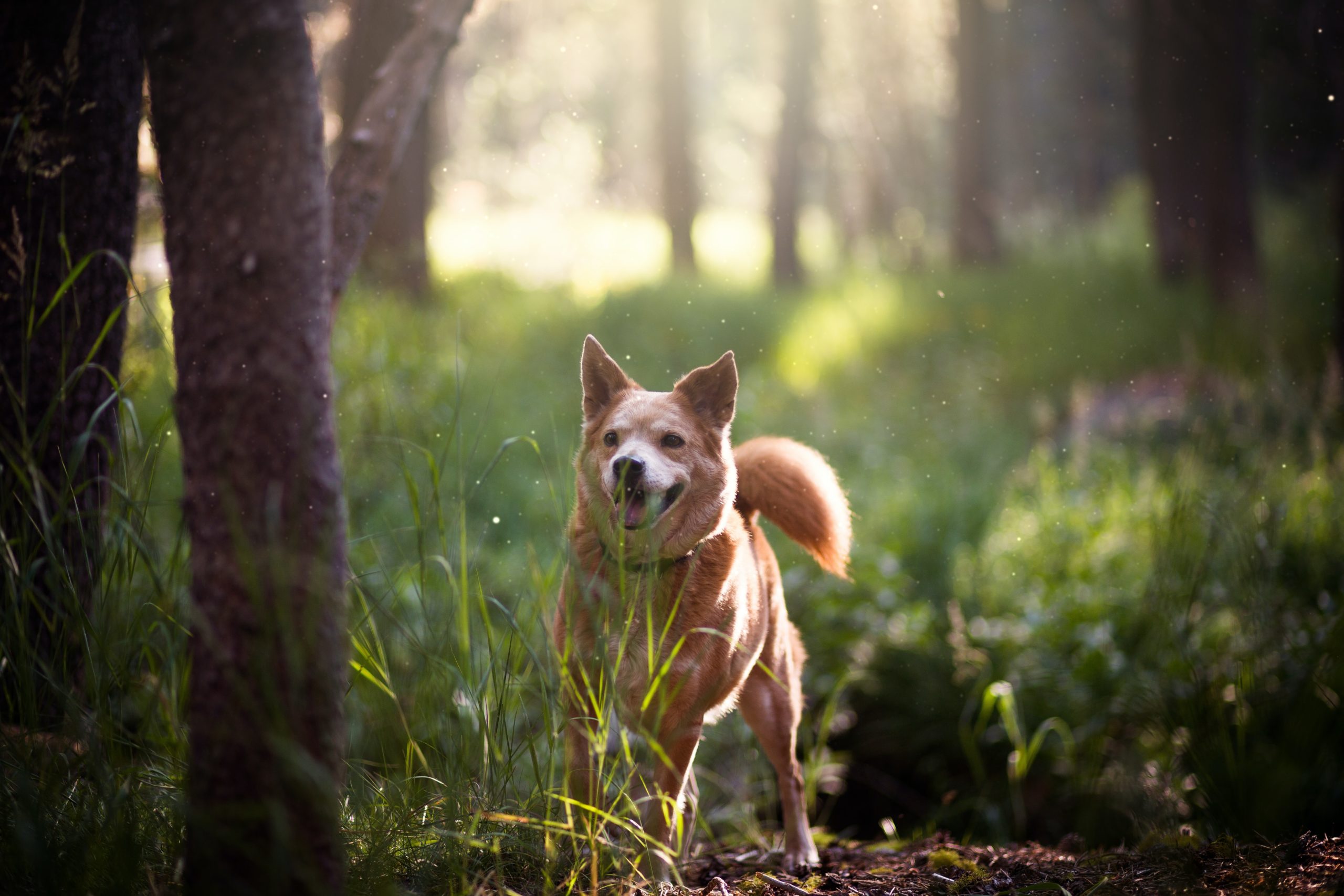 cam-bowers-KECL1sCTi9w-unsplash