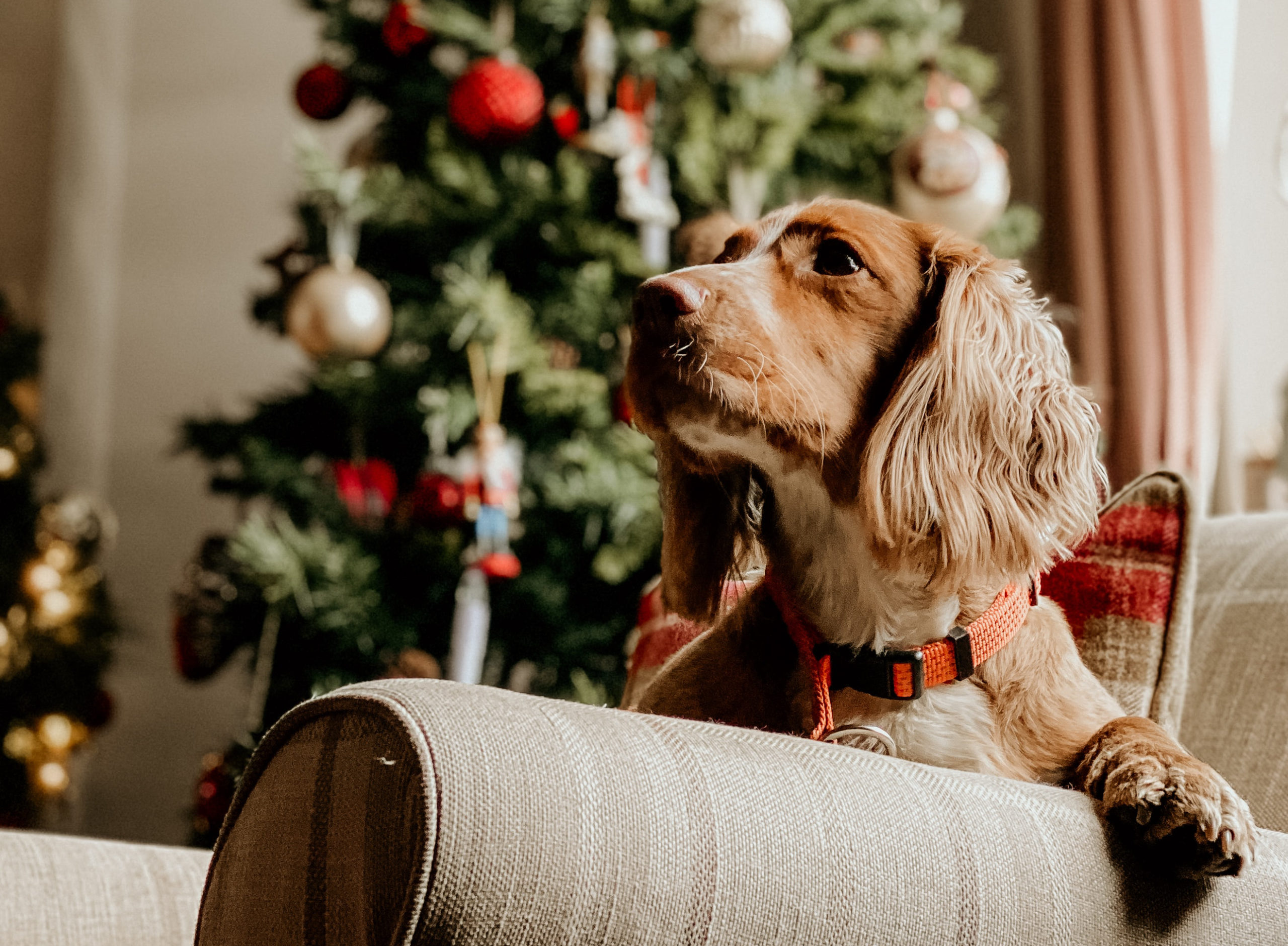 nathan-mcdine-KFZ2DX0geZo-unsplash-3